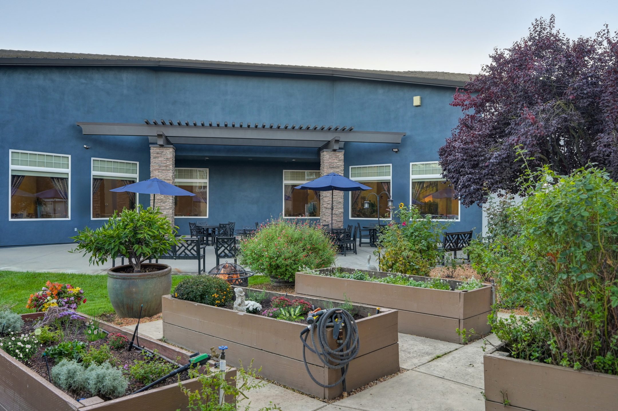 A modern building with blue walls, large windows, and an outdoor patio featuring tables with blue umbrellas. The foreground showcases raised garden beds, perfectly reflecting the vibrant Eskaton Granite Bay lifestyle.