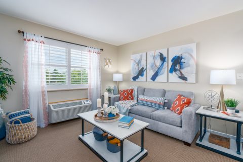 Bright living room with a gray sofa, colorful pillows, a coffee table with books and candles, wall art above the sofa, two lamps, white curtains, and a large window letting in natural light.