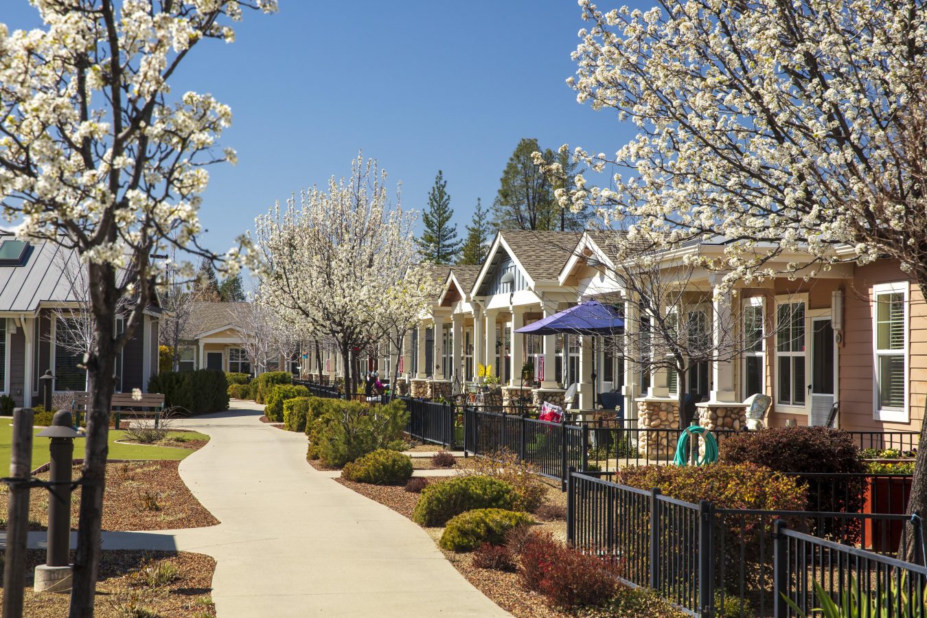 A row of small, charming houses with front porches lines a curved sidewalk, bordered by blooming trees and neatly trimmed bushes on a sunny day.