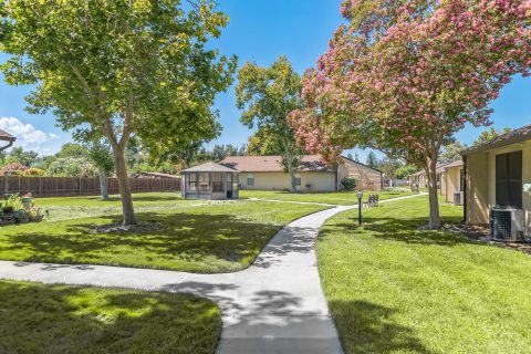 A curved sidewalk passes through a grassy area with green trees and flowering pink trees, leading to a single-story yellow building under a bright blue sky.