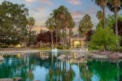 A tranquil pond with rocks and a small fountain, surrounded by palm trees and lush greenery, reflects a building and the colorful sky at sunset.